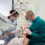 Gallery Professionale