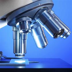 Analisi Cliniche Dott.ssa Cascio Liliana & C SAS Specialista in Microbiologia