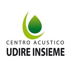 Udire Insieme Srl