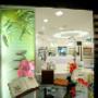 Farmacia