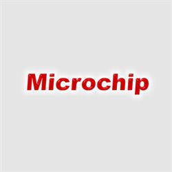 Microchip Personal Computer Di Luigi Fiumene