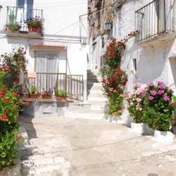 Agenzia Immobiliare Dante Srl