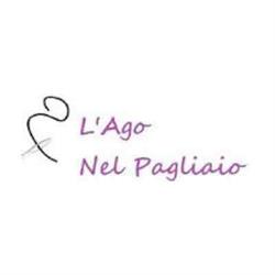 L'Ago nel Pagliaio