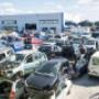 Gallery Professionale