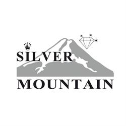 Silver Mountain Di Di Secci Livio