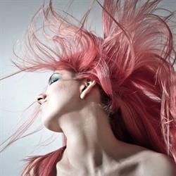 Studio Hair Unisex