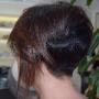 Castano Cut