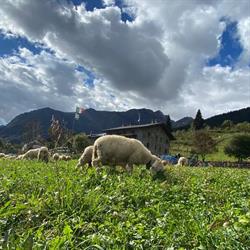 Agriturismo Ca' Di Racc