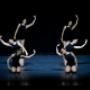 Contemporaneo