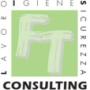 FT Consulting
