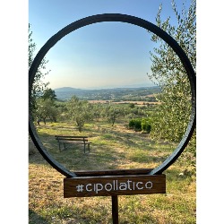 Agricampeggio Cipollatico