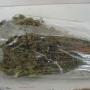 Origano Calabrese a mazzetto