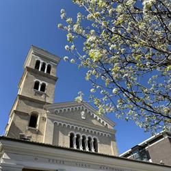 Parrocchia S. Agnese