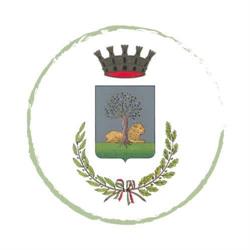 Comune Di Alvito