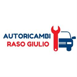 Autoricambi Raso Giulio