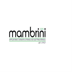 Mambrini S.a.s.