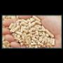 L'Antica Ferramenta di Ringhini Luciano Consegna Pellet