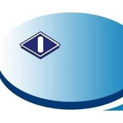 Digit Copy Srl