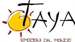 Taya Di Schiavon Morena