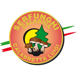 Serfunghi
