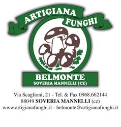 Artigiana Funghi Belmonte srl