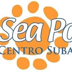 Sea Point Srl