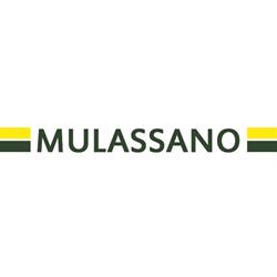 'mulassano' SNC Di Mulassano Pasquale & C.