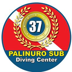 Palinuro Sub Diving Center Sas Di Serena Coraggioso