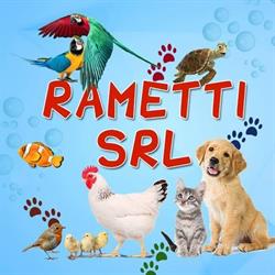 Edil Antonio Sa.S. Di Rametti Roberto E C.