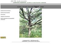 Gester Studio Associato Di Benetti E Piatti Dottori Forestal
