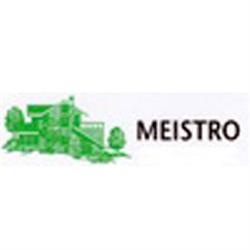 Meistro di Meistro Roberto & C