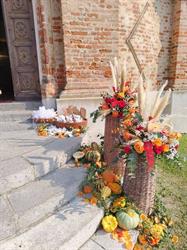 Fiorista Pensieri In Fiore Di Biglia Elisa