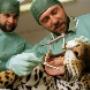 Veterinari - Distinto Dott. Yascin