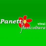 Floricoltura Panetto