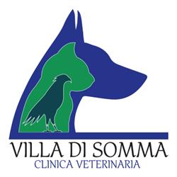 Villa di Somma