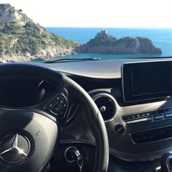 Wisely Travelling Di Arcucci Carlo