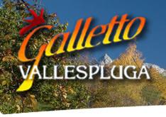 Valle Spluga S.p.a.