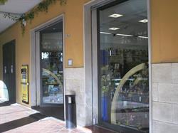 Ricci Maccarini Elisa