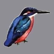 Casa della Pesca Srl