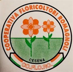 Cooperativa Floricoltori Romagnoli S.c.r.l.