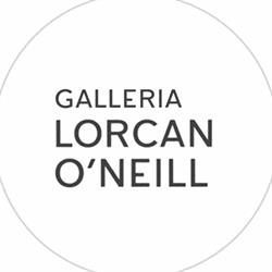 Galleria Lorcan O'neill Roma SRL