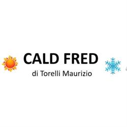 Cald Fred di Torelli Maurizio