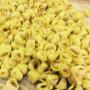 Tortellini