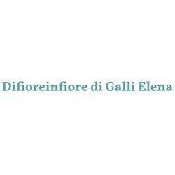 Di Fiore in Fiore