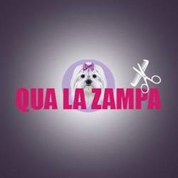 Qua La Zampa SNC