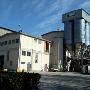 Foraggi