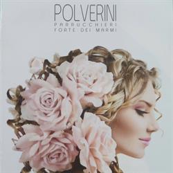 I Polverini