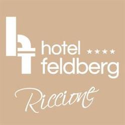 Hotel Feldberg