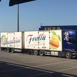Calandrini Frutta S.r.l.