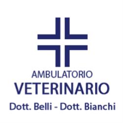 Veterinari Associati - Belli Claudio e Bianchi Alessandro
